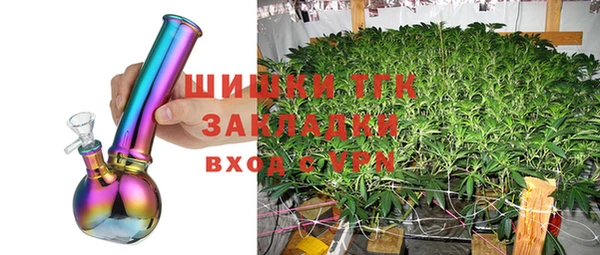 индика Богданович